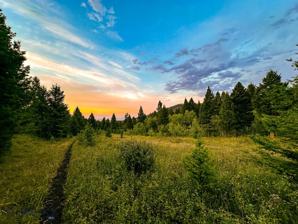 Nhn Nhn Perry Ranch Road Drummond, MT 59832 - Photo 1 of 1 Gallery Image 1