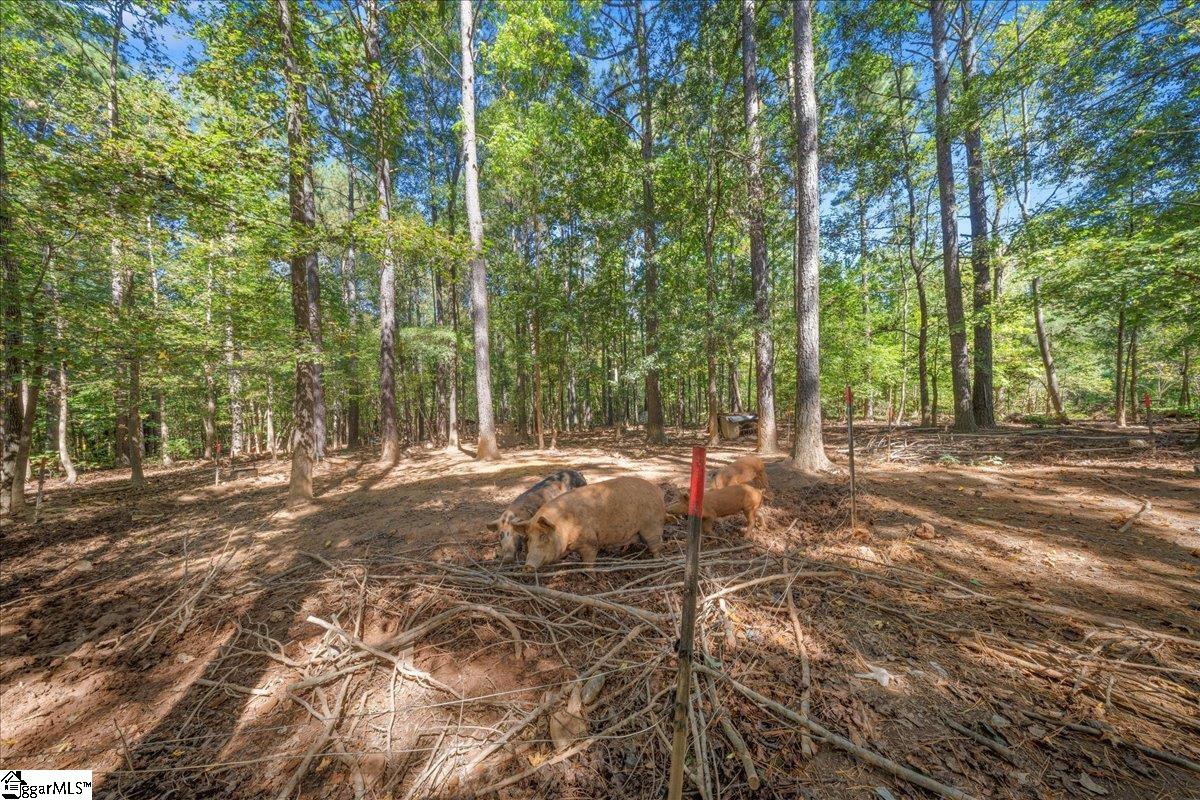1660 Kilgore Bridge Road Woodruff, SC 29388 - Photo 29 of 50