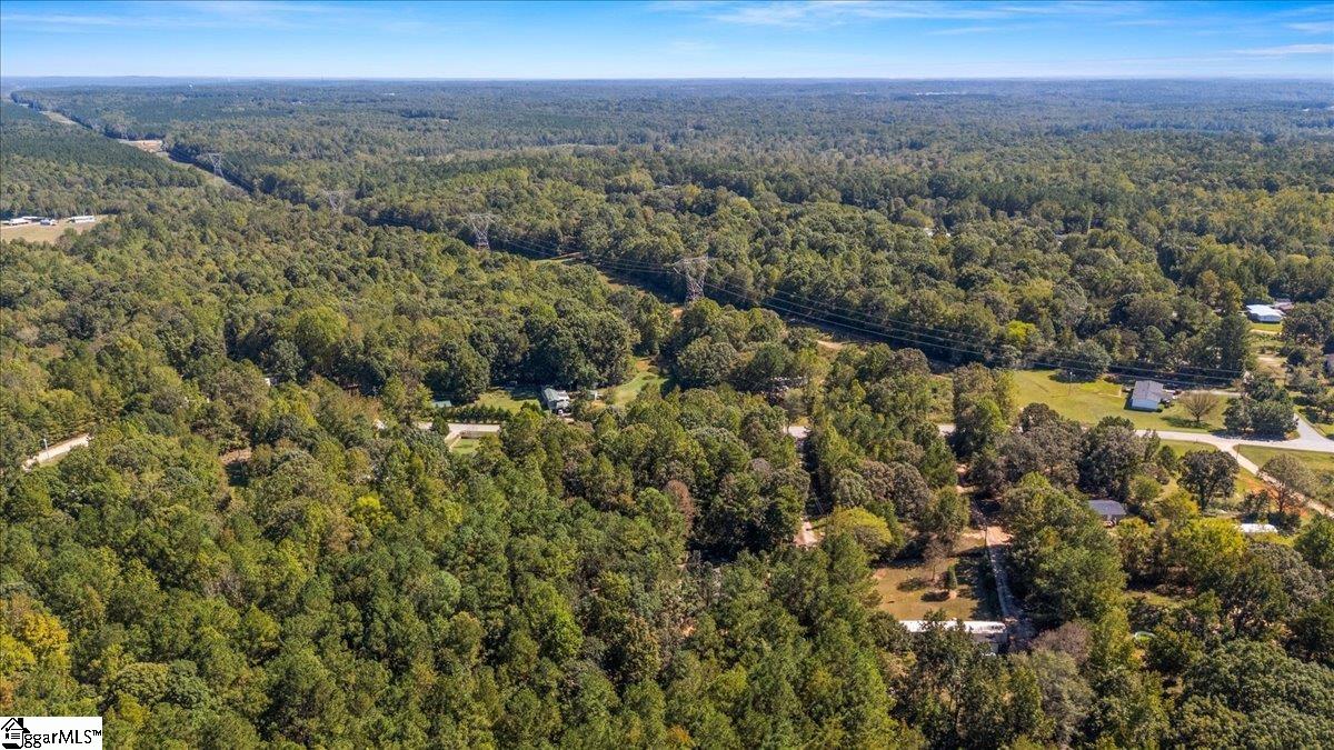 1660 Kilgore Bridge Road Woodruff, SC 29388 - Photo 46 of 50