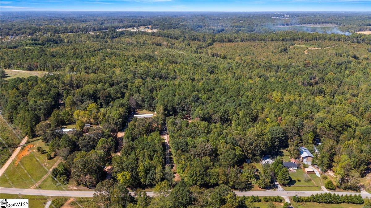 1660 Kilgore Bridge Road Woodruff, SC 29388 - Photo 47 of 50