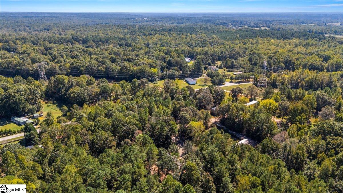 1660 Kilgore Bridge Road Woodruff, SC 29388 - Photo 49 of 50