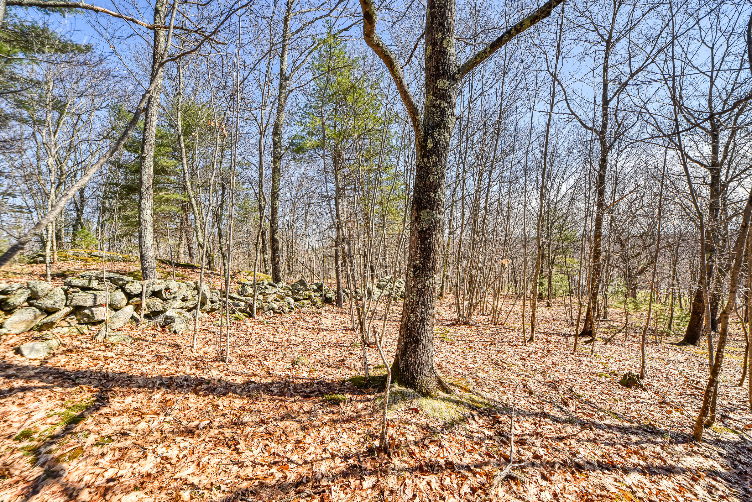 Lot 53-03 Langdon Road Richmond, ME 04357 - Photo 31 of 43 108695gr-116