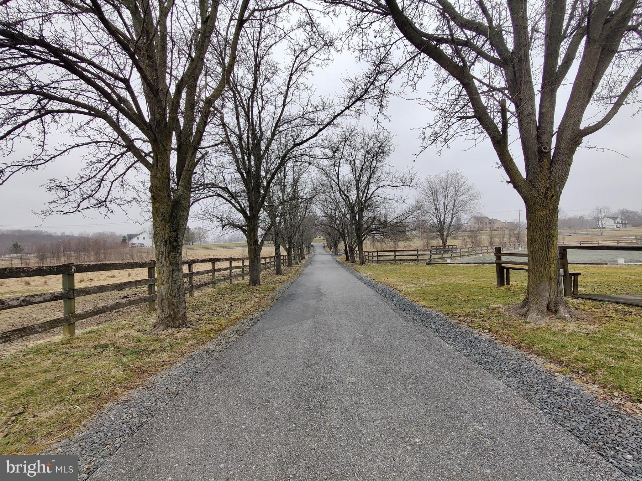 4221 Graceton Road Pylesville, MD 21132 - Photo 2 of 7 TREE LINED ENTRANCE DRIVEWAY