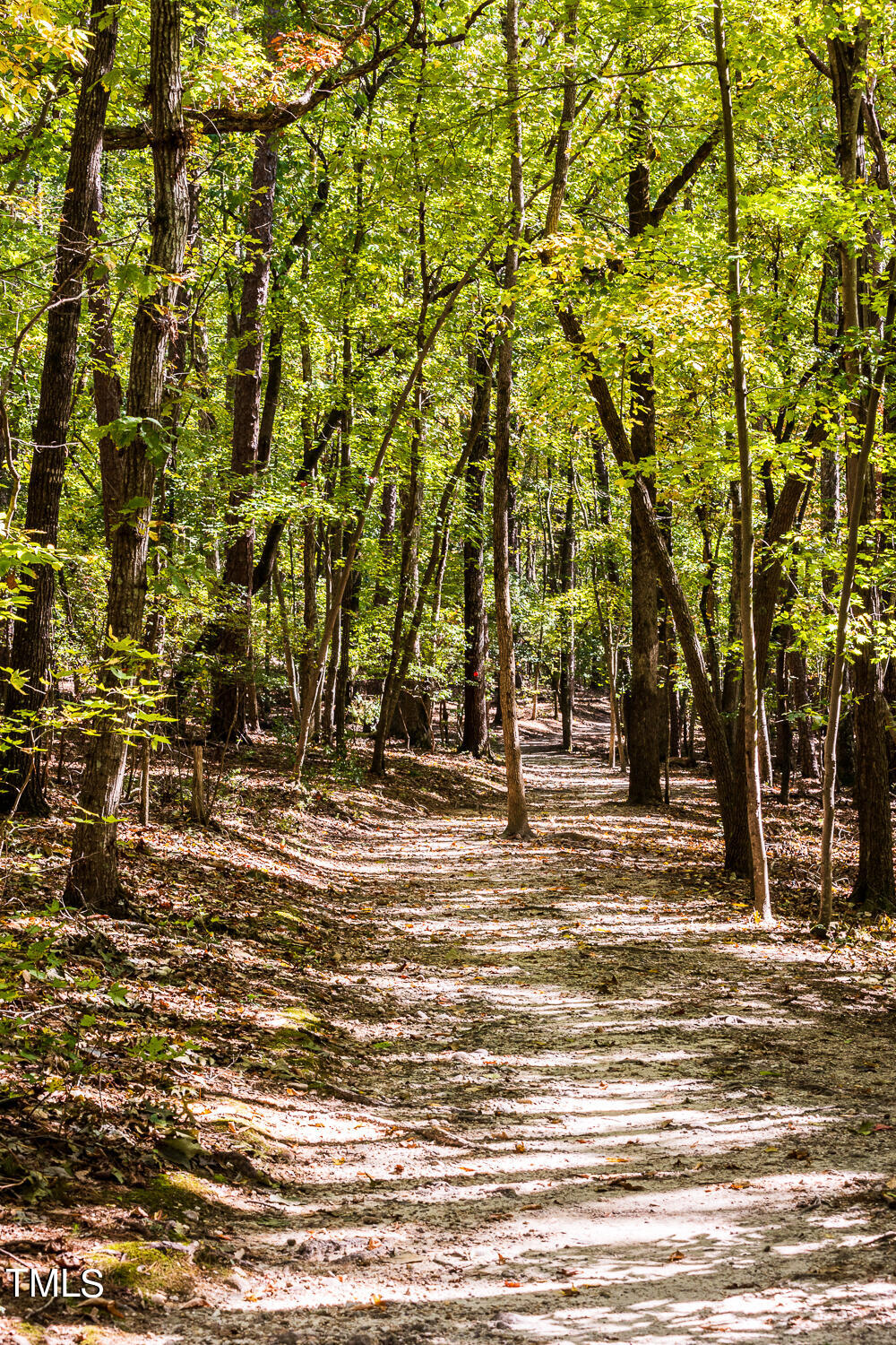 89 Hank Way Angier, NC 27501 - Photo 54 of 60 Raven Rock State Park (6)