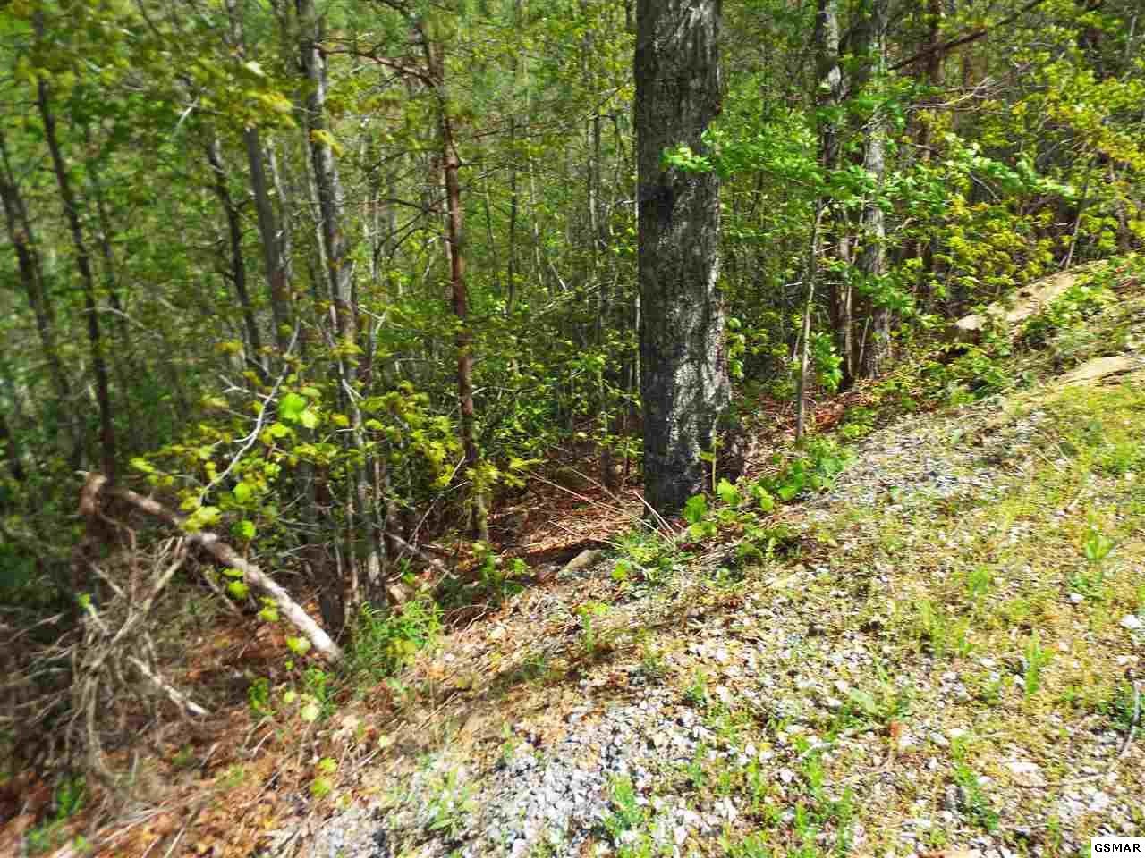 63 Redtail Road Sevierville, TN 37862 - Photo 13 of 24 Gallery Image 13