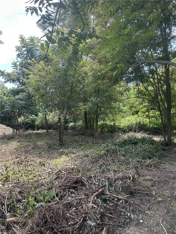 Lot #4 Ann Marie Court Export, PA 15632 - Photo 2 of 3 a view of a forest with trees in the background