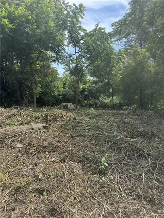 a view of a yard with a tree