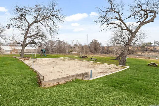 a view of a park with large trees