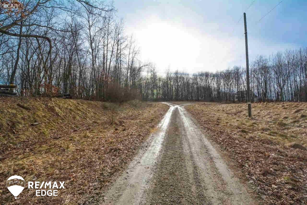 0 Timberwolf Court Fenton, MI 48430 - Photo 1 of 8
