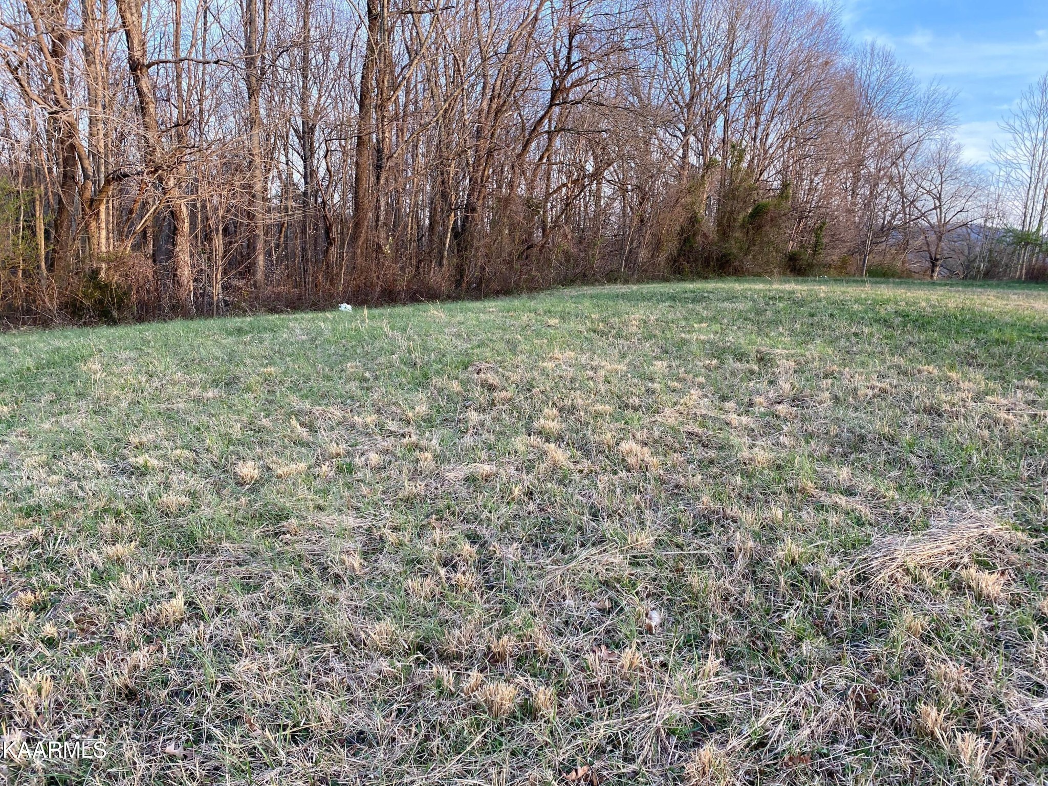 0 Mt Airy Road Byrdstown, TN 38549 - Photo 13 of 15 Gallery Image 13