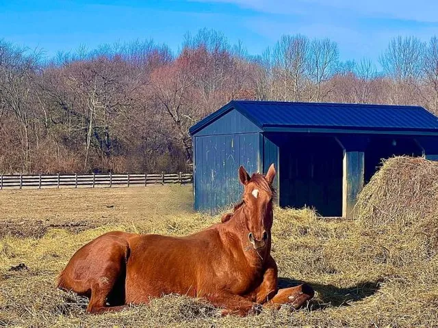 $2,250,000 | 13969 Us Highway Northwest, Jeffersonville, OH 43128