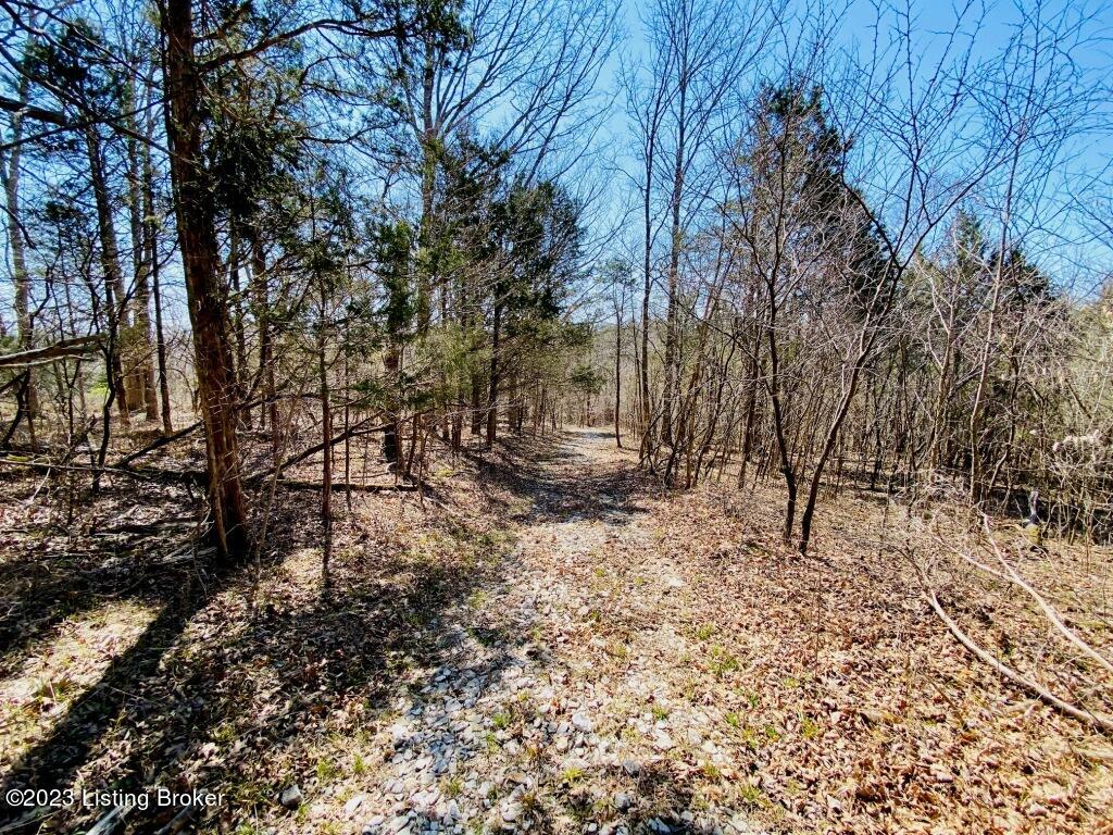 2723 Tatum Ridge Road Willisburg, KY 40078 - Photo 20 of 42 020_79791061