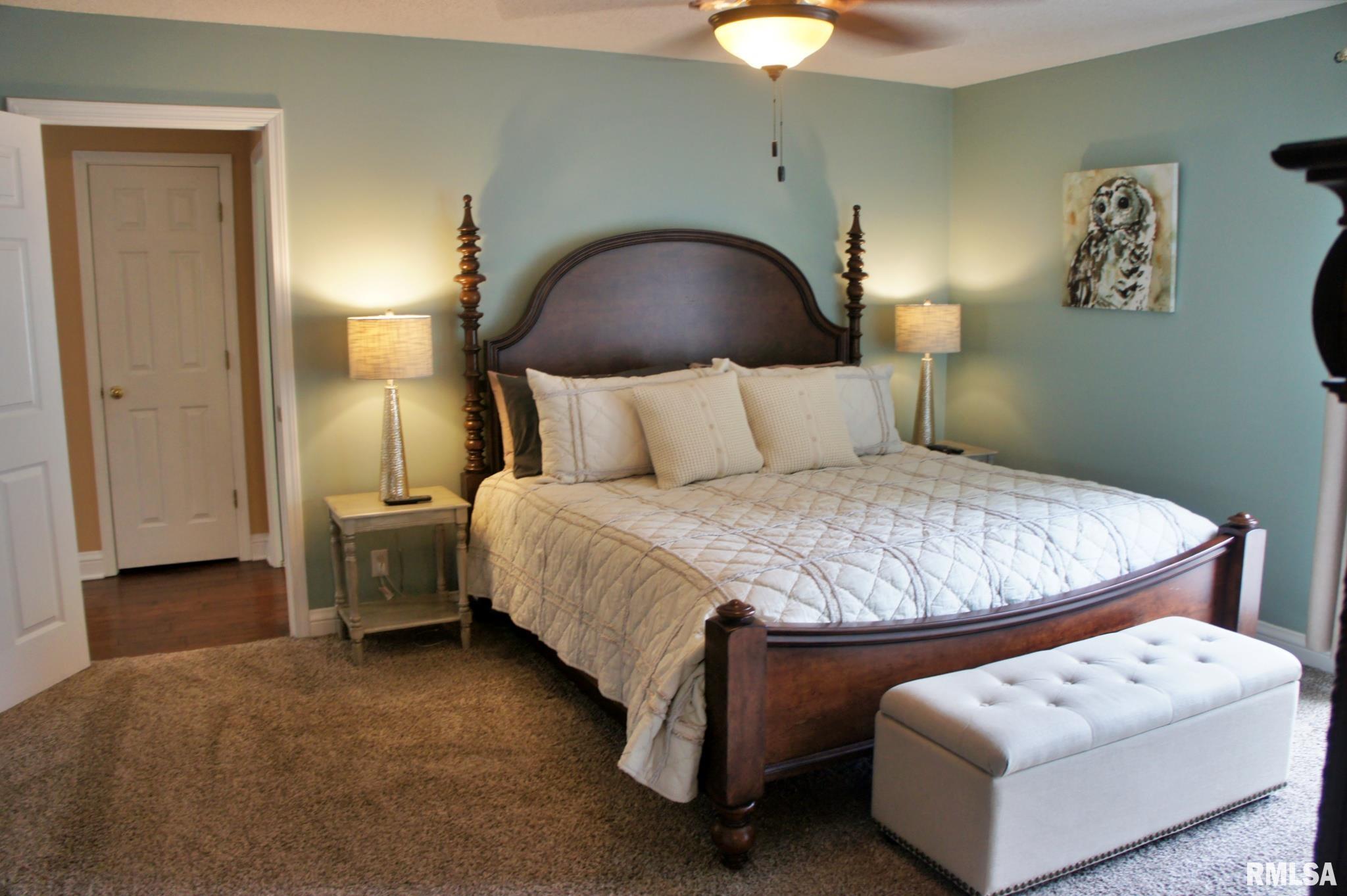 2733 Old Marion Road Metropolis, IL 62960 - Photo 42 of 78