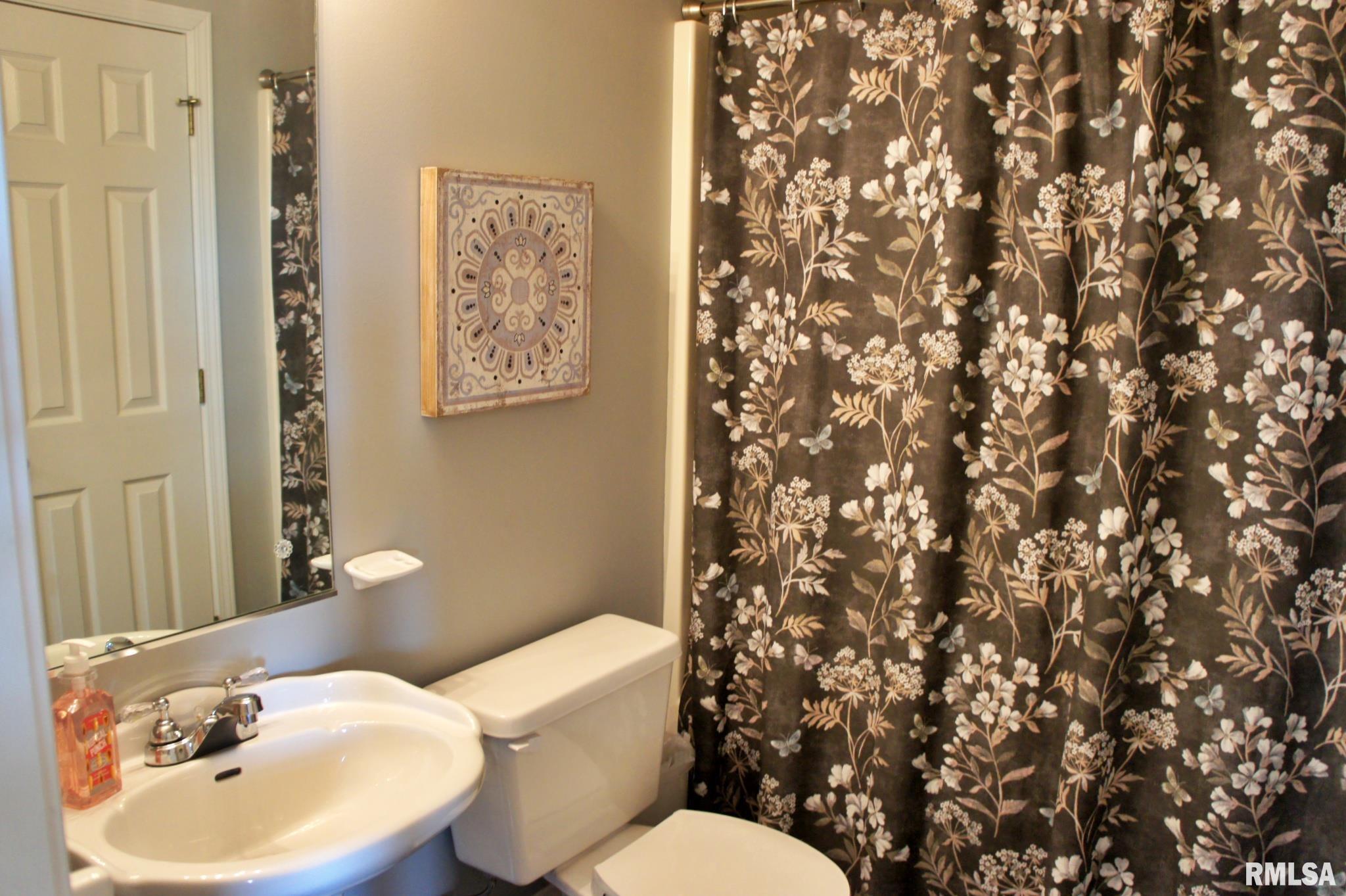 2733 Old Marion Road Metropolis, IL 62960 - Photo 48 of 78