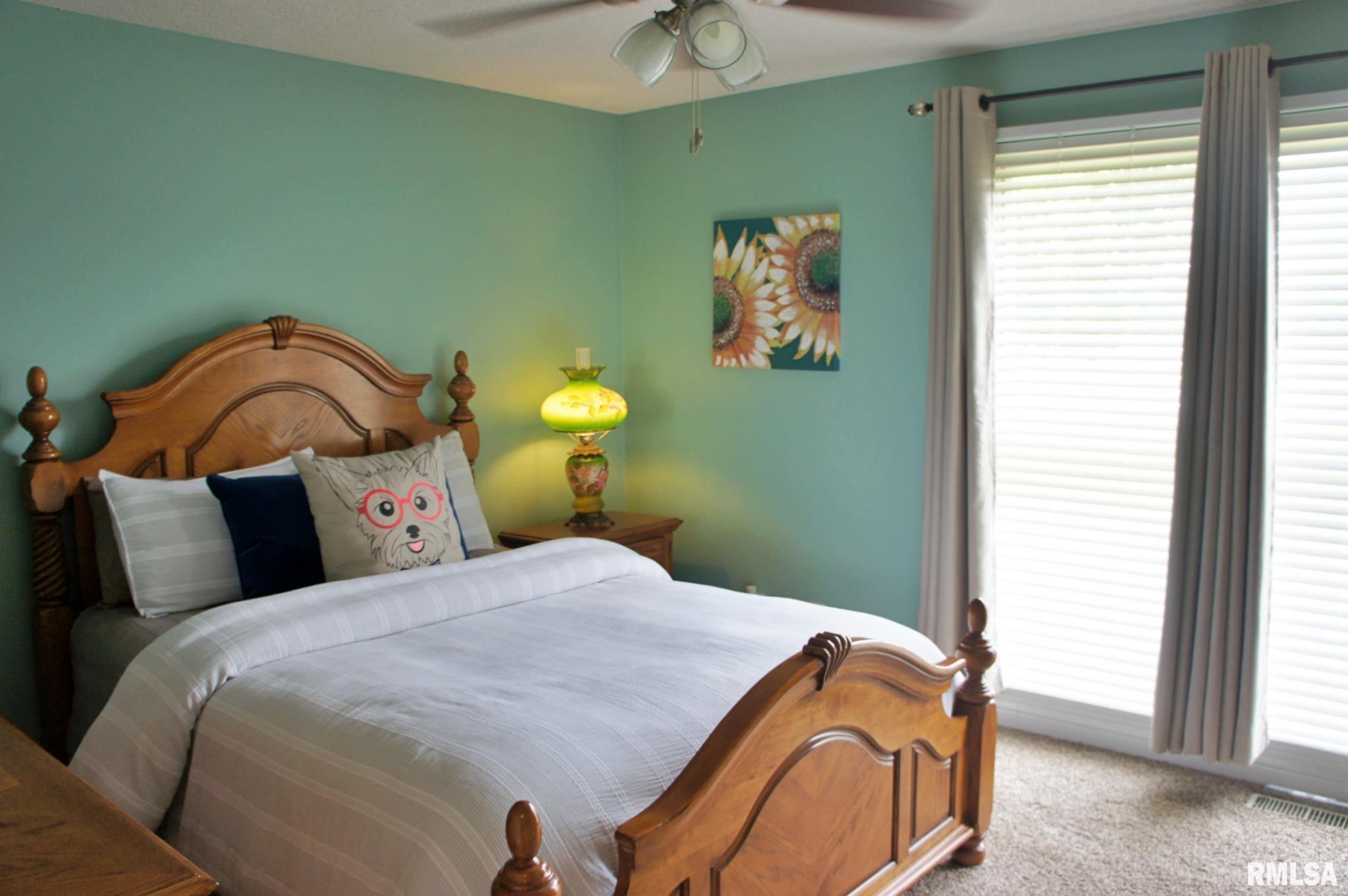2733 Old Marion Road Metropolis, IL 62960 - Photo 54 of 78