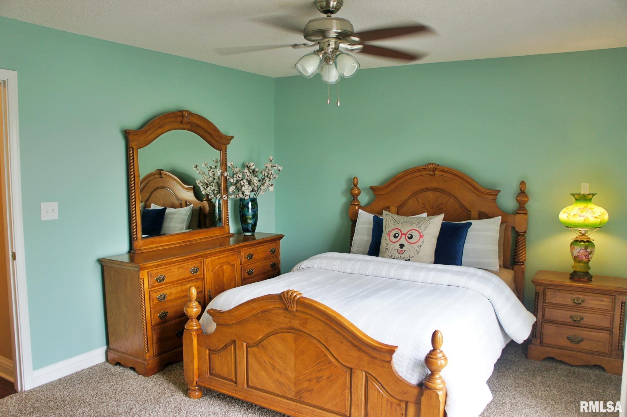2733 Old Marion Road Metropolis, IL 62960 - Photo 55 of 78