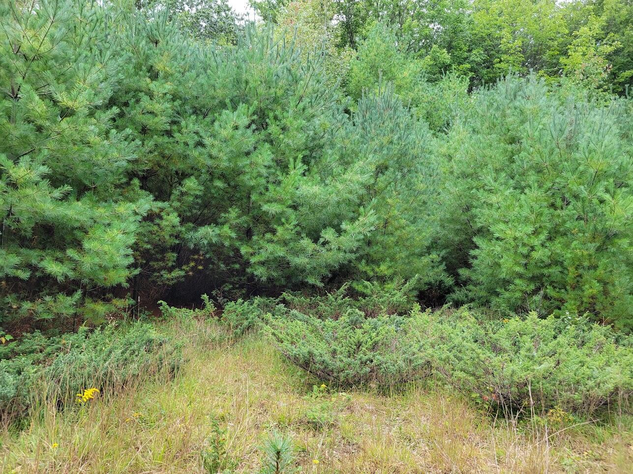 3-l 34-2 Hooper Road Shapleigh, ME 04076 - Photo 13 of 16 20220920_124931