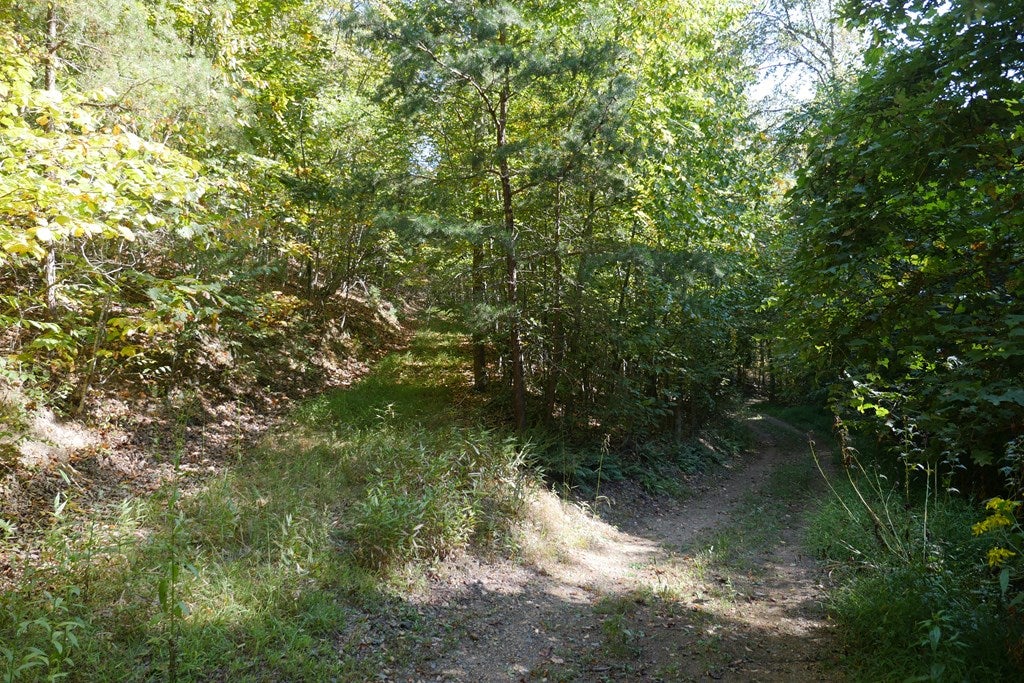 Tbd Hall Hollow Road, Unit 1 Austinville, VA 24312 - Photo 52 of 76 Gallery Image 52