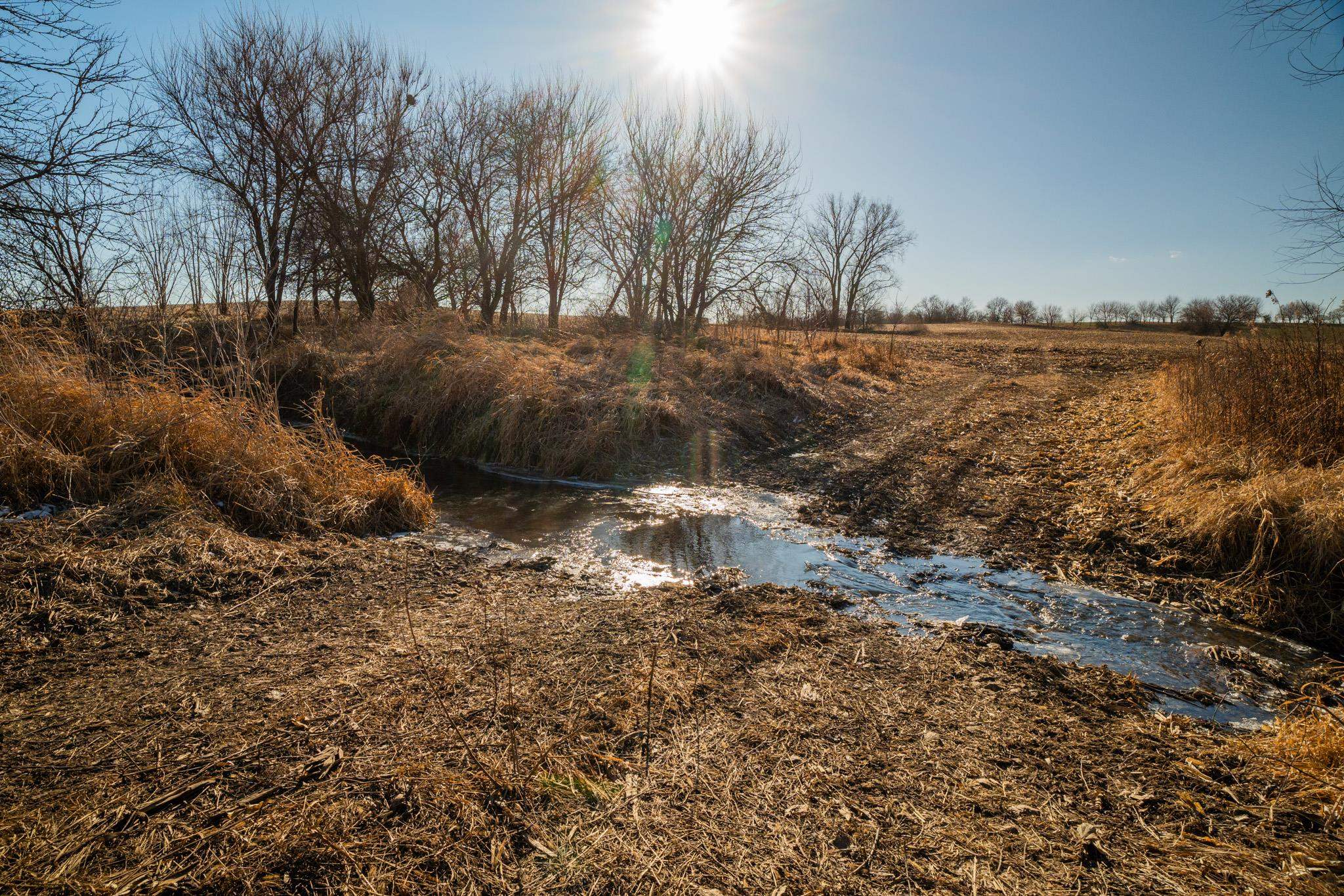 0 Malvern Road Morrison, IL 61270 - Photo 27 of 33 a view of a lake with lots of trees