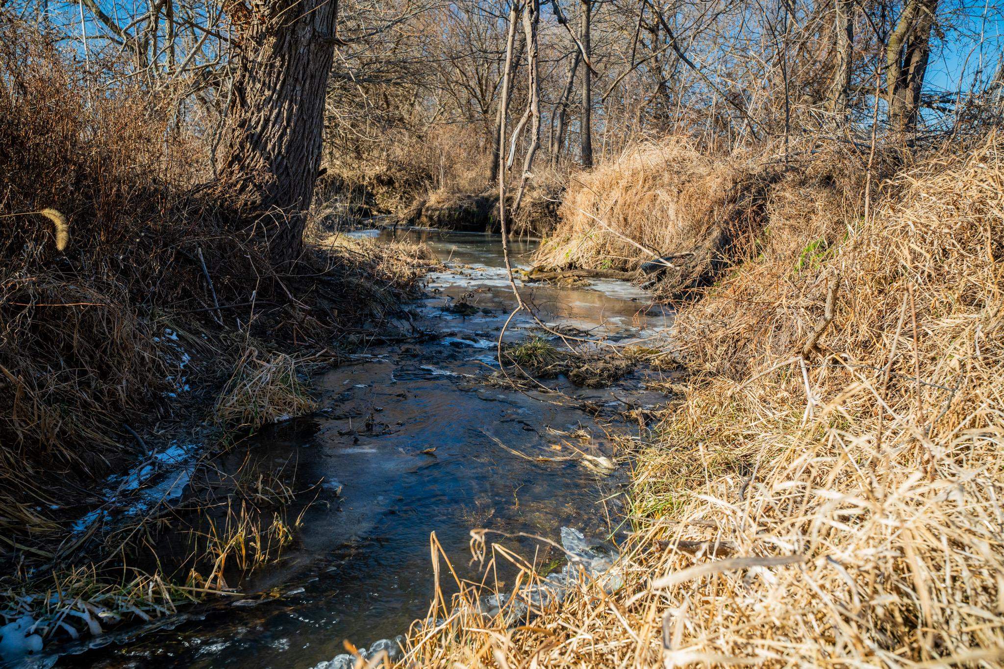0 Malvern Road Morrison, IL 61270 - Photo 28 of 33 a view of backyard of a house