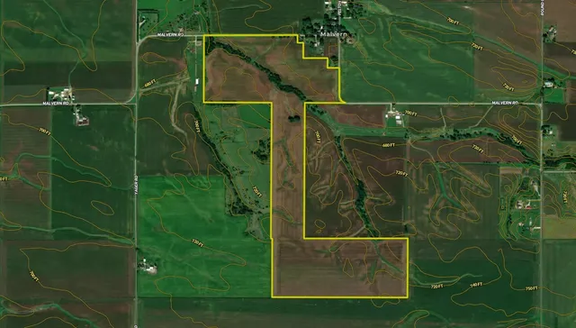 a view of a lush green forest