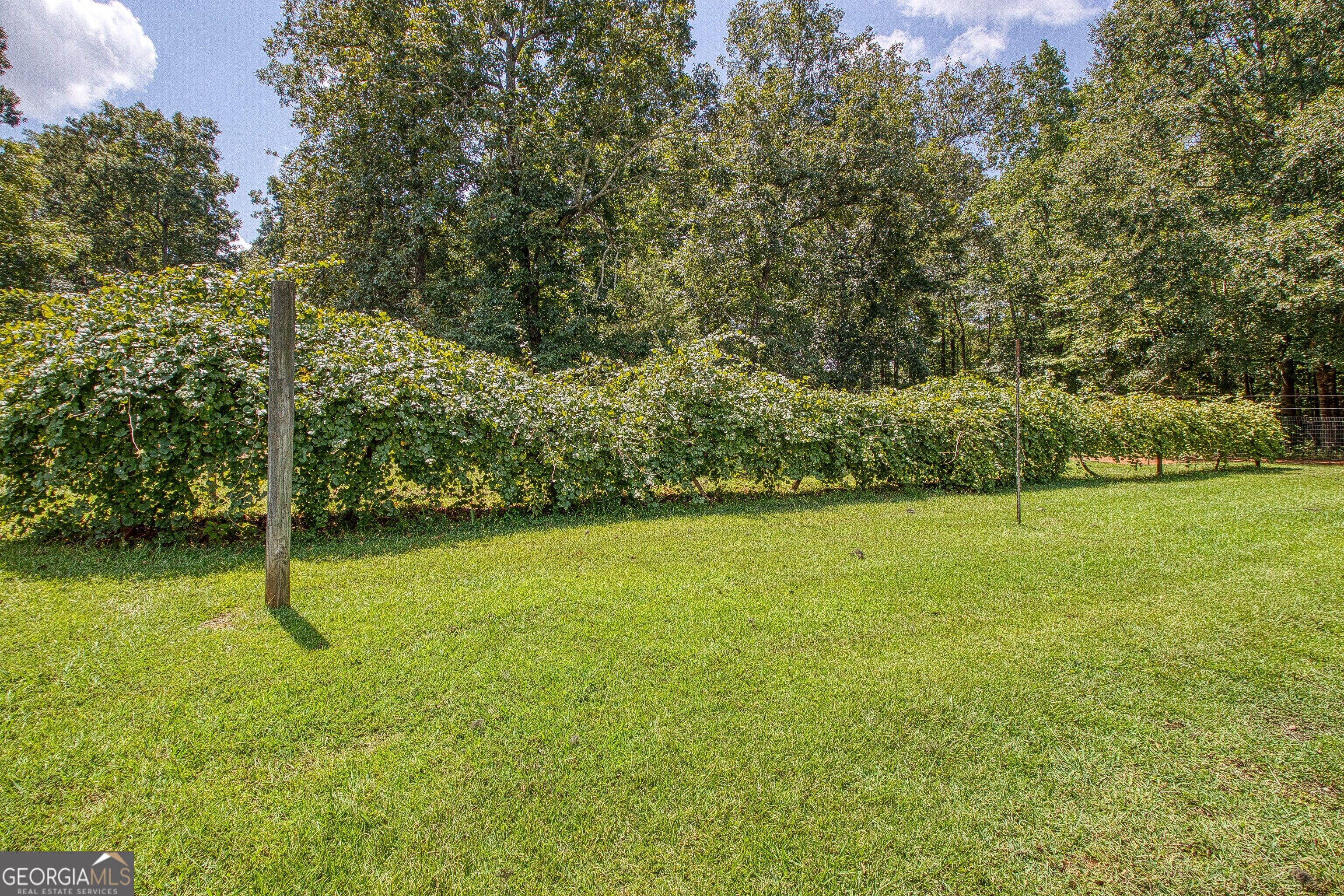 792 Fincher Road Moreland, GA 30259 - Photo 92 of 121 Gallery Image 92