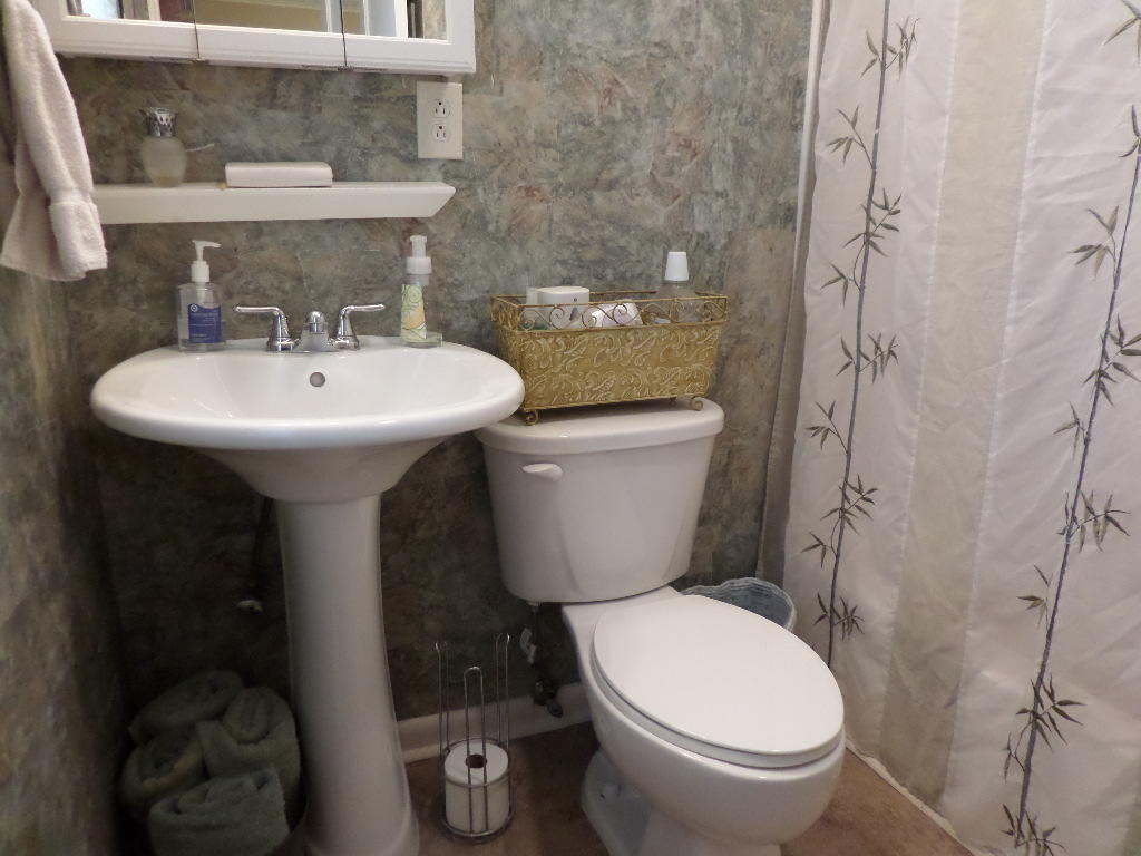 206 West Fairview Road Oak Ridge, TN 37830 - Photo 14 of 29 Master Bath