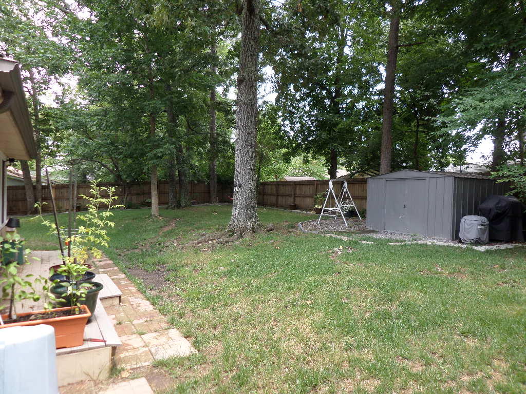 206 West Fairview Road Oak Ridge, TN 37830 - Photo 19 of 29 Back Yard