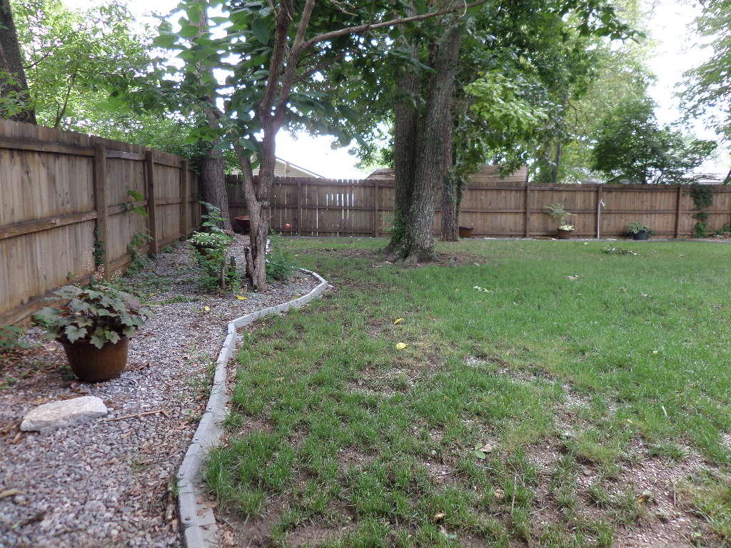 206 West Fairview Road Oak Ridge, TN 37830 - Photo 21 of 29 Back Yard