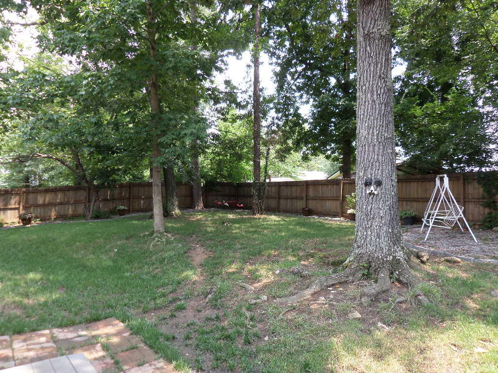 206 West Fairview Road Oak Ridge, TN 37830 - Photo 24 of 29 Back Yard