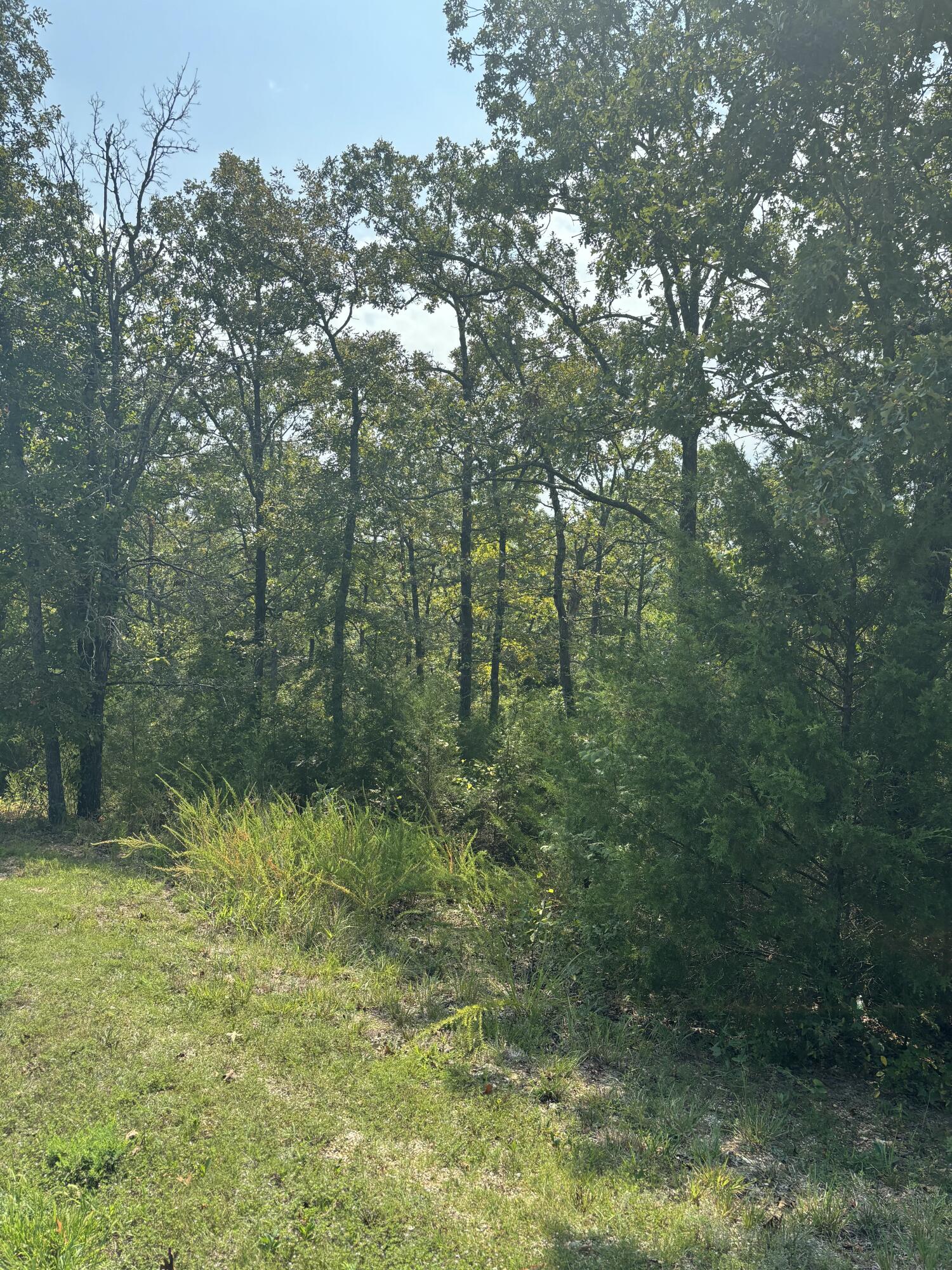Lot #3 Fox Hollow Rd Branson Road Reeds Spring, MO 65737 - Photo 4 of 9 IMG_20250919_134844