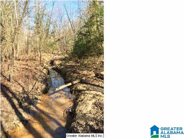 3703 Co Highway 24 Springville, AL 35146 - Photo 20 of 28