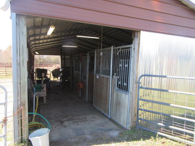 3064 Battle Creek Road Springfield, TN 37172 - Photo 21 of 30 a view of entryway and hall with wooden floor