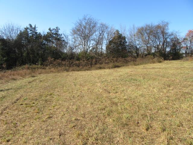 3064 Battle Creek Road Springfield, TN 37172 - Photo 27 of 30 a view of a yard with trees