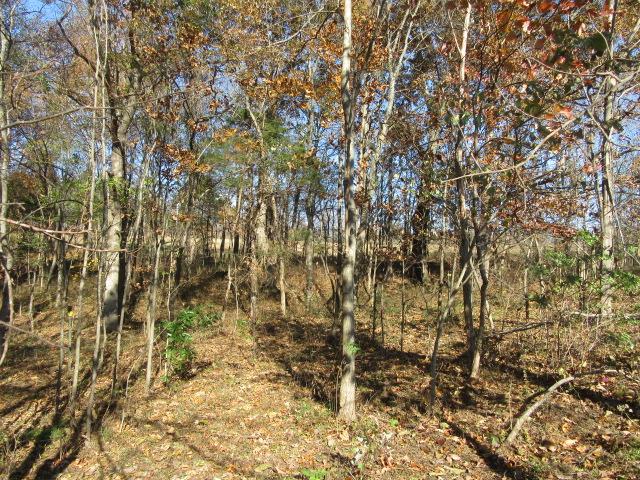 3064 Battle Creek Road Springfield, TN 37172 - Photo 28 of 30 a view of a yard
