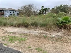 a view of a yard with plants and a bench