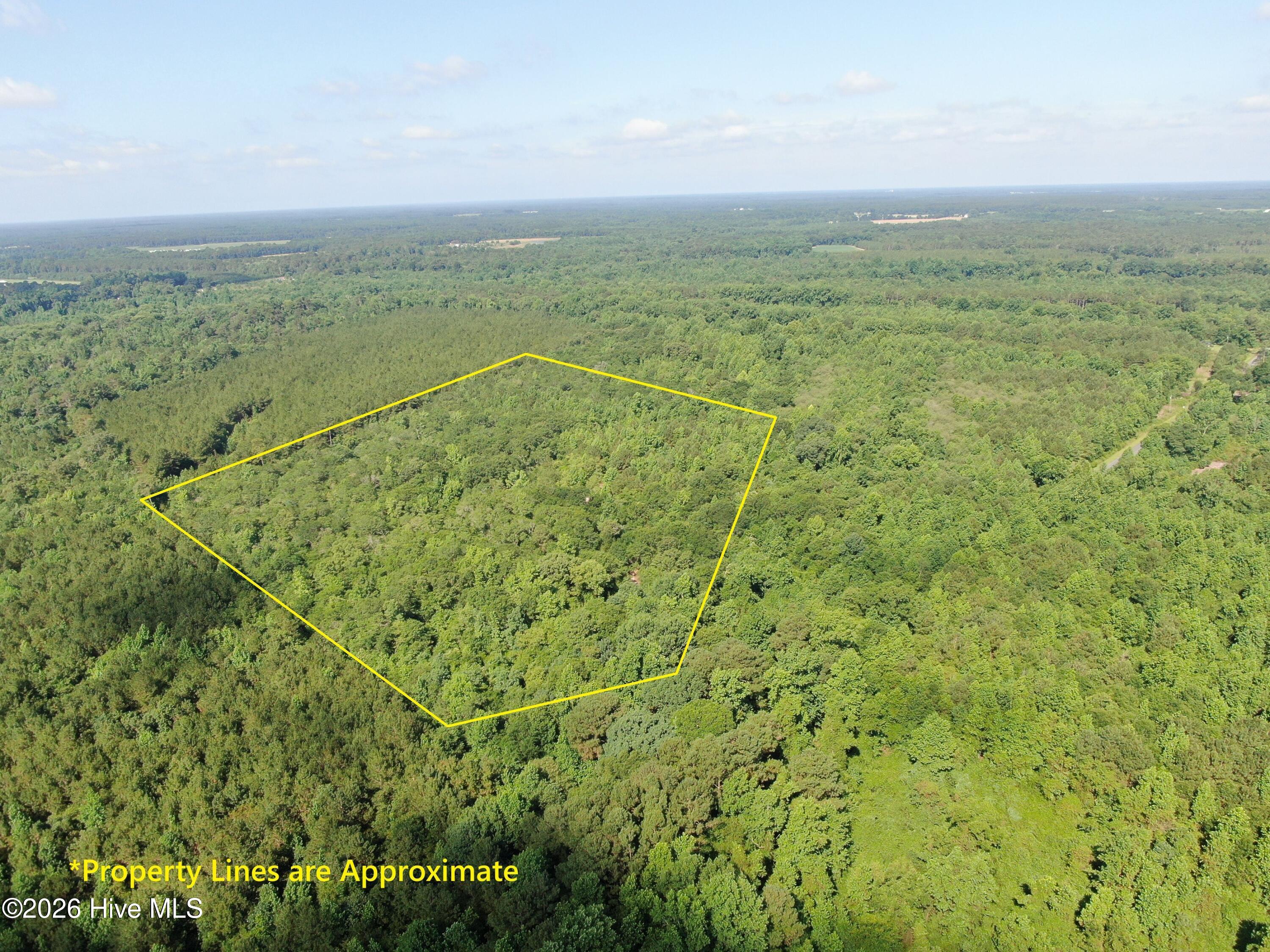 Tbd Oliver Carlton Road Warsaw, NC 28398 - Photo 1 of 15