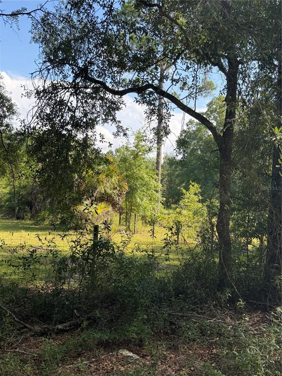 5649 209th Road Live Oak, FL 32060 - Photo 50 of 62 Gallery Image 50