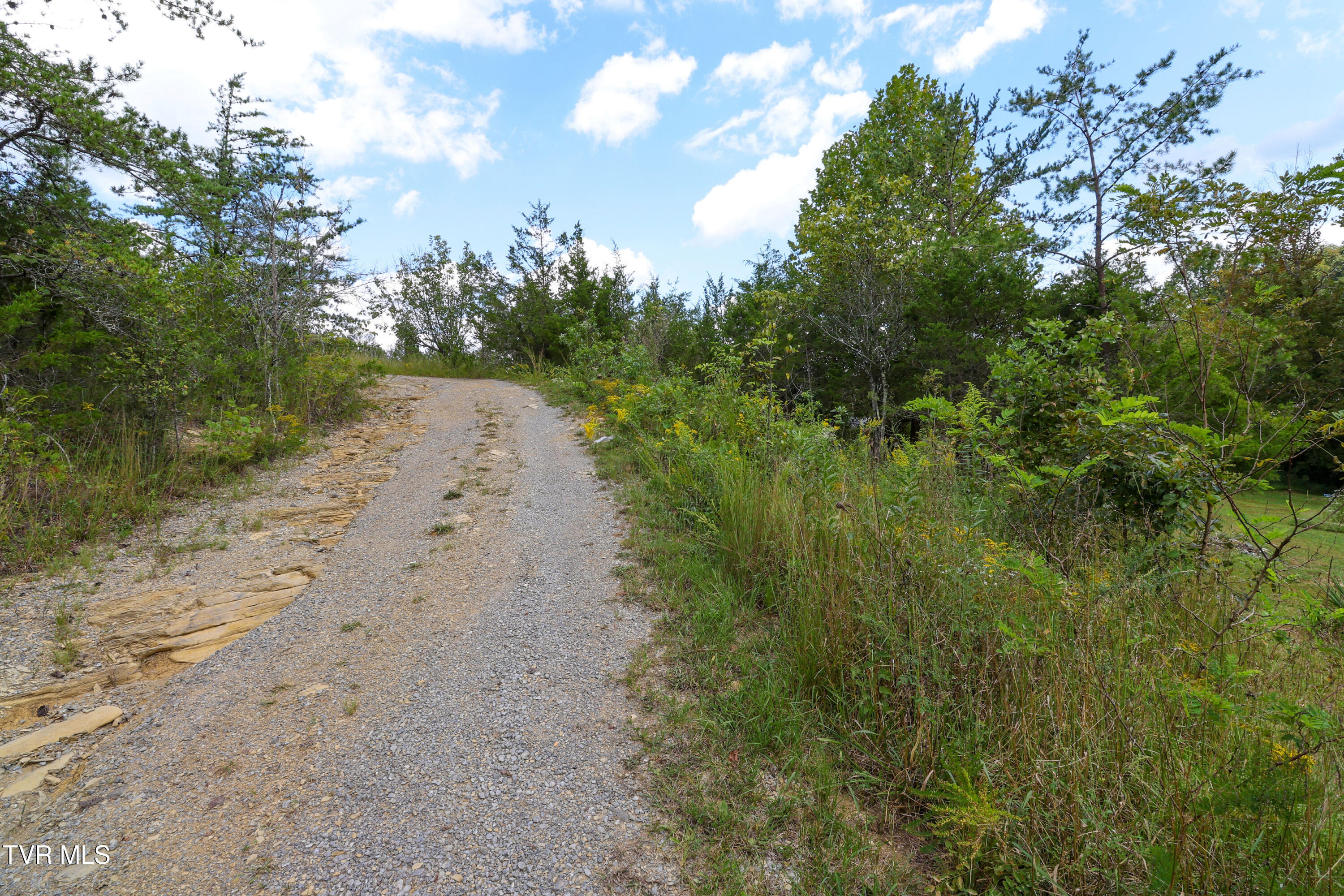 174 Coates Road Bulls Gap, TN 37711 - Photo 20 of 37 AM0A5999_1