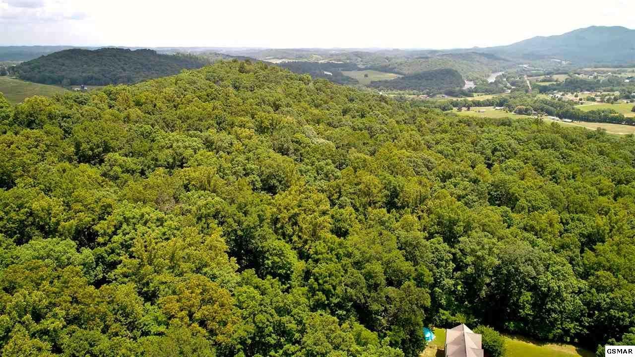 18 Sierra Road Newport, TN 37821 - Photo 10 of 18 Gallery Image 10