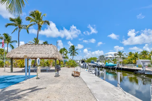 a group of palm trees in front of house