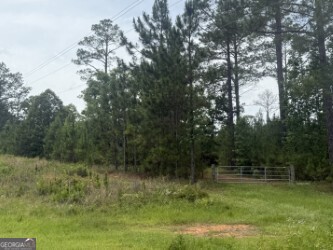50 Harvest Road Coleman, GA 39836 - Photo 9 of 37