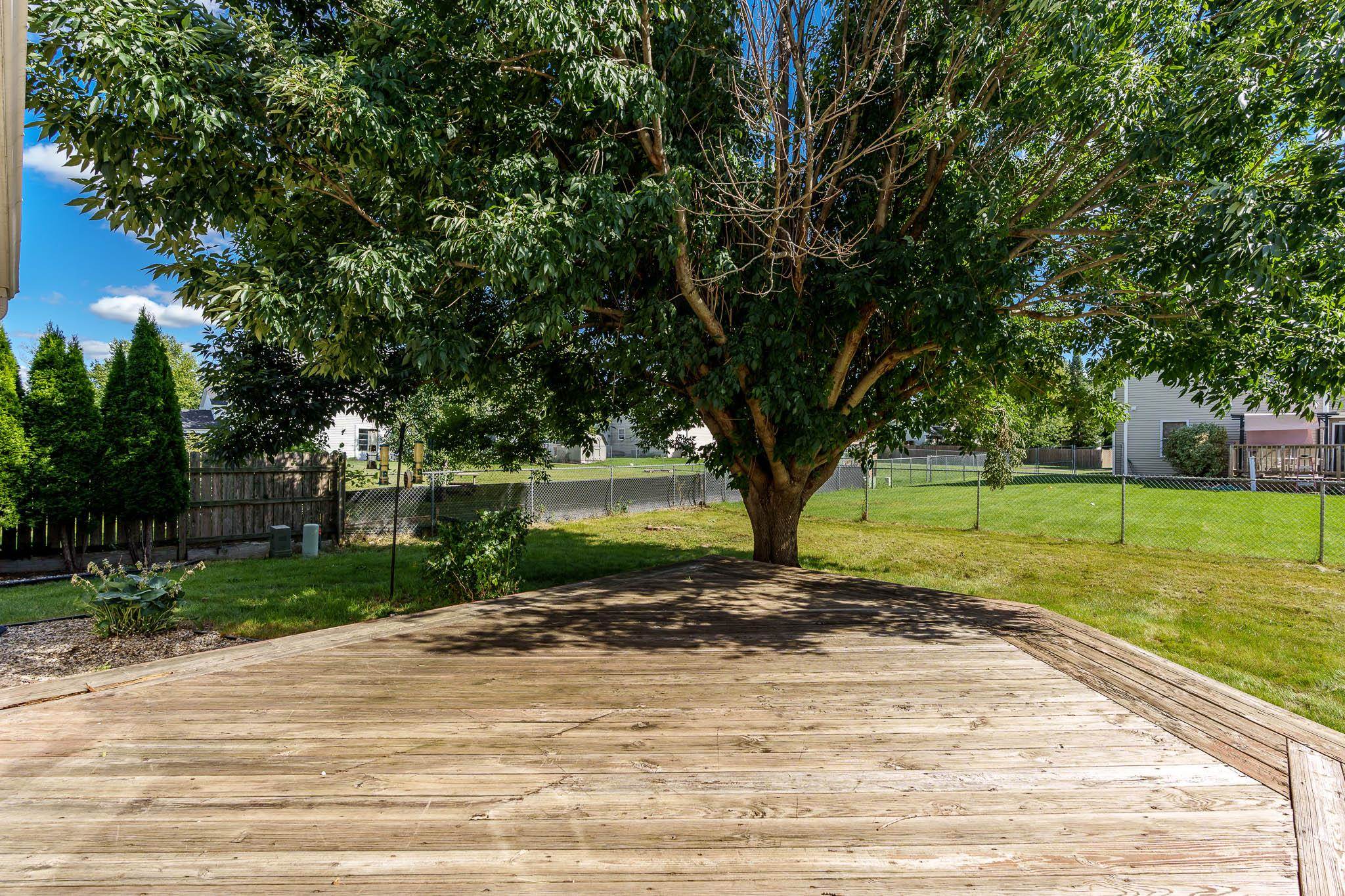 1996 Broadmoor Road Rockton, IL 61072 - Photo 9 of 45 a view of a yard with plants and a large tree
