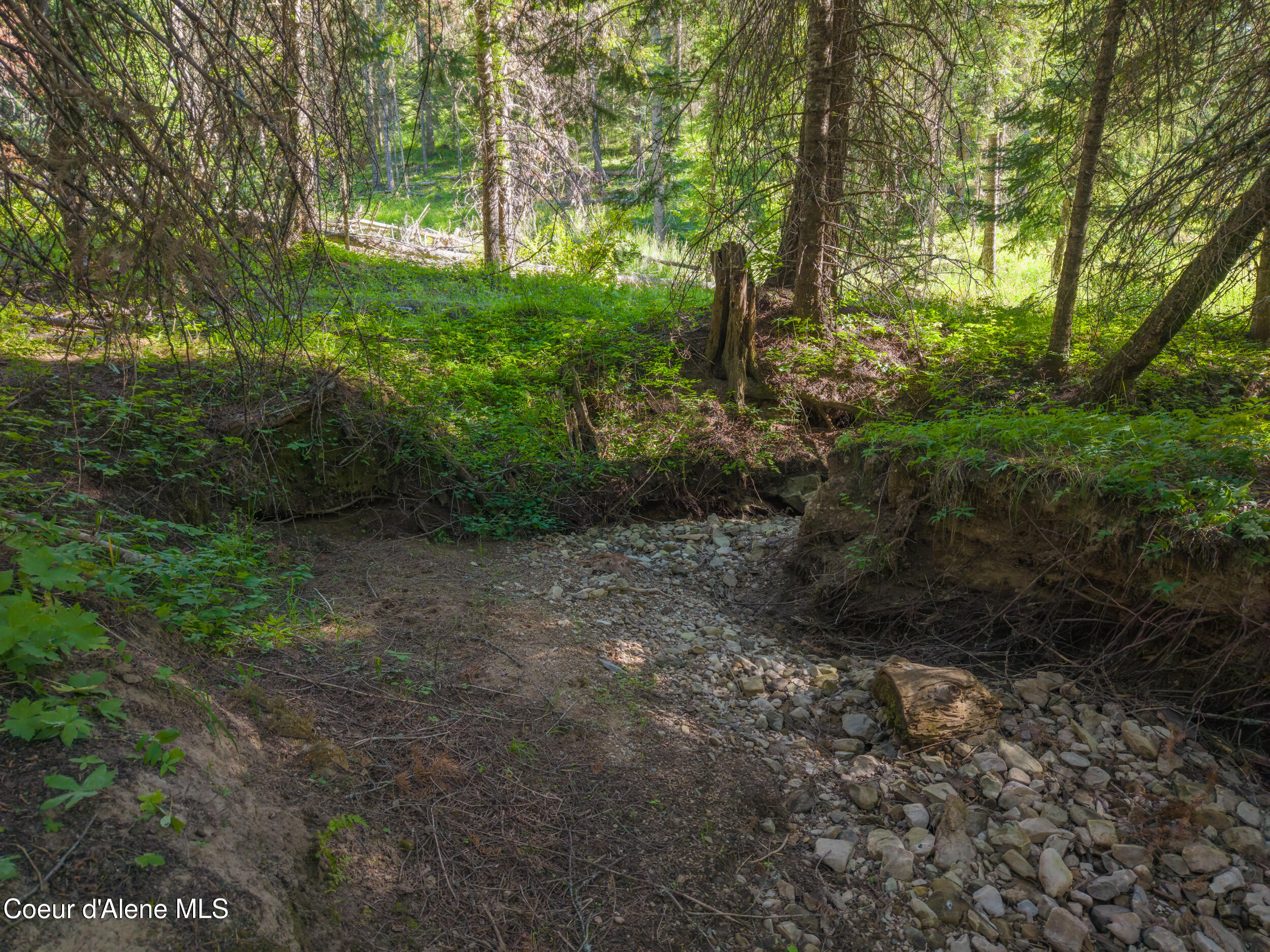 6 Harvard Id 83834 Harvard, ID 83834 - Photo 10 of 32 Cow Creek Tweedy (26 of 29)