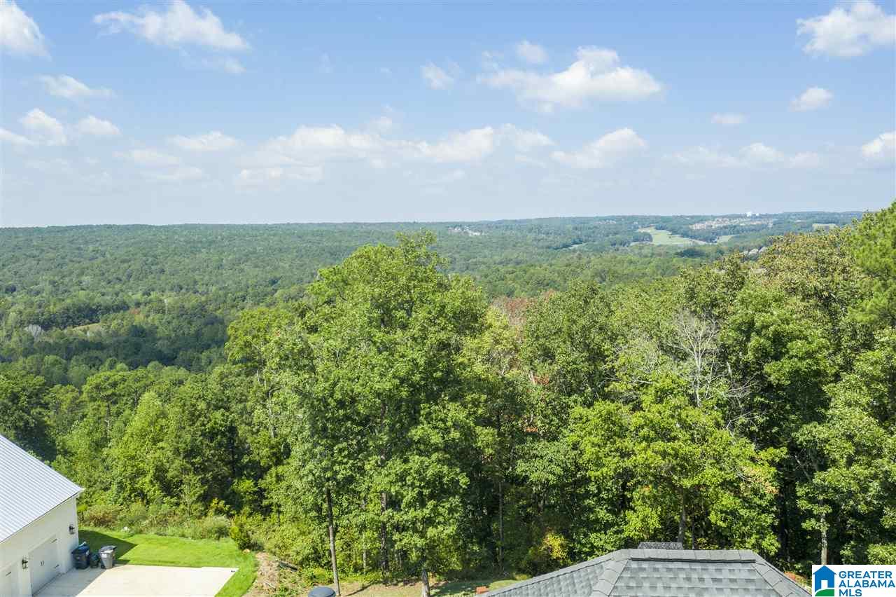238 Shades Crest Road Birmingham, AL 35226 - Photo 46 of 50