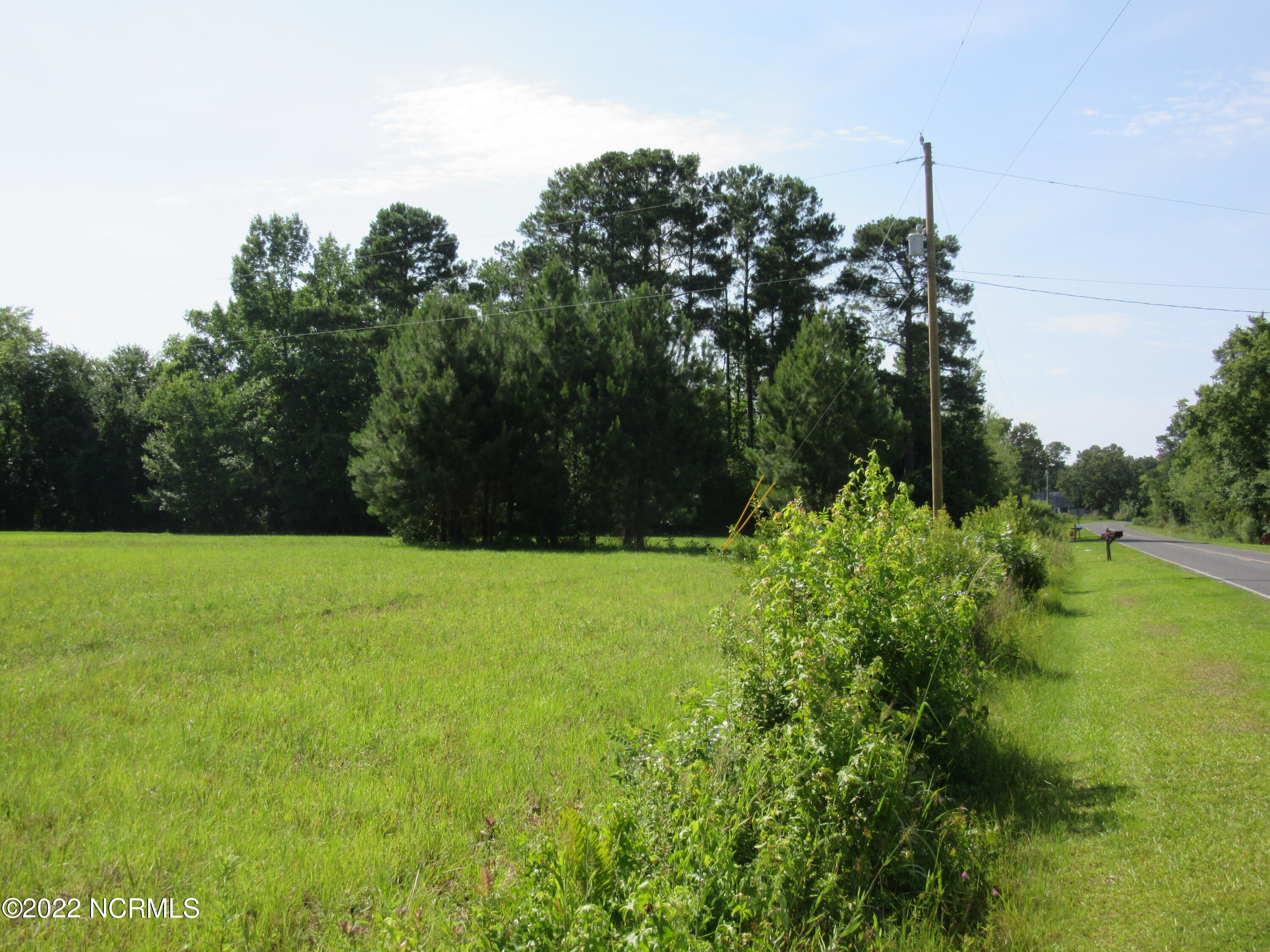 0 Elijah Road Orrum, NC 28369 - Photo 1 of 1 IMG_5658
