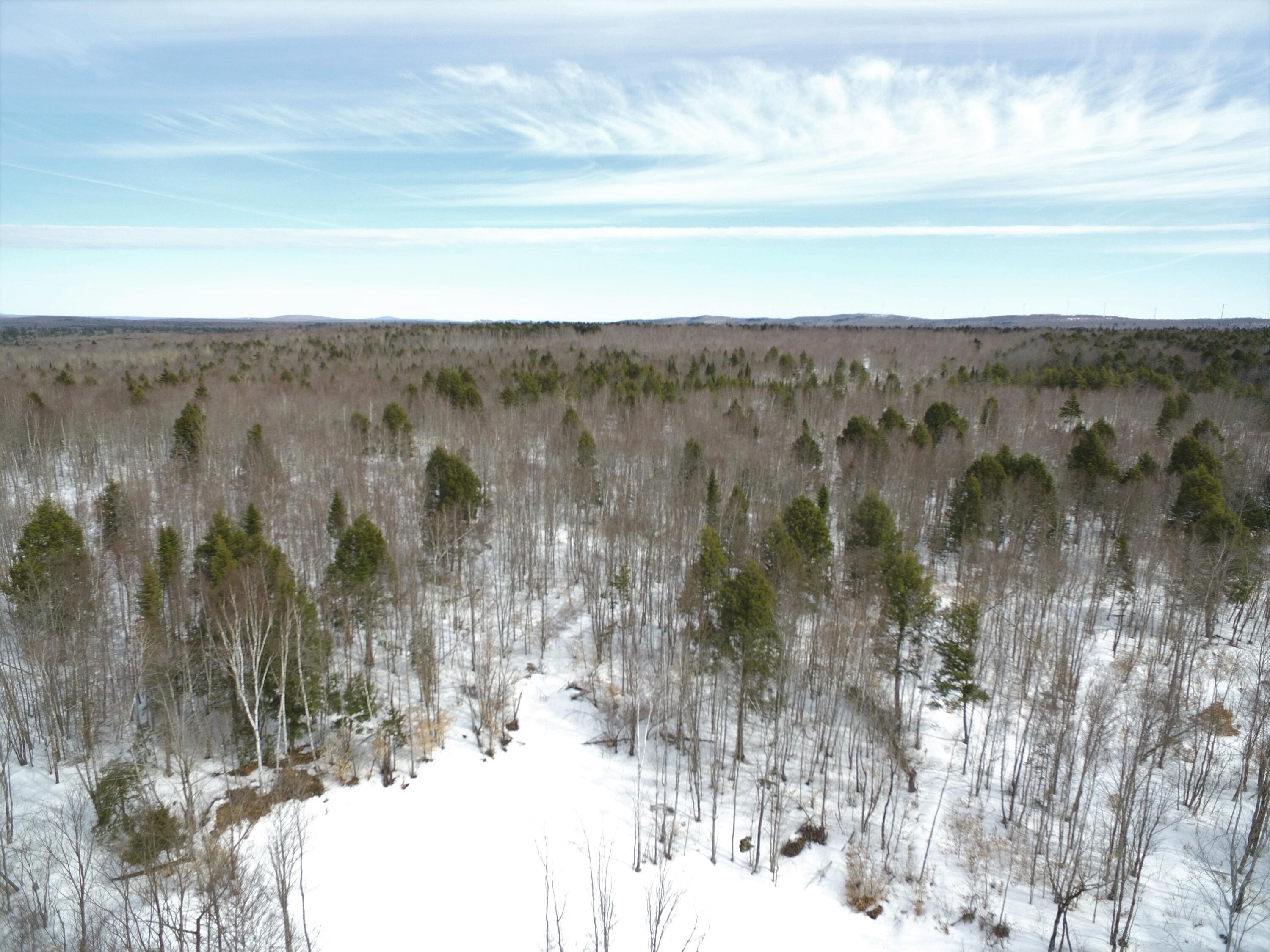 Lot 86 Freedom Way Springfield, ME 04487 - Photo 23 of 25 DJI_0032