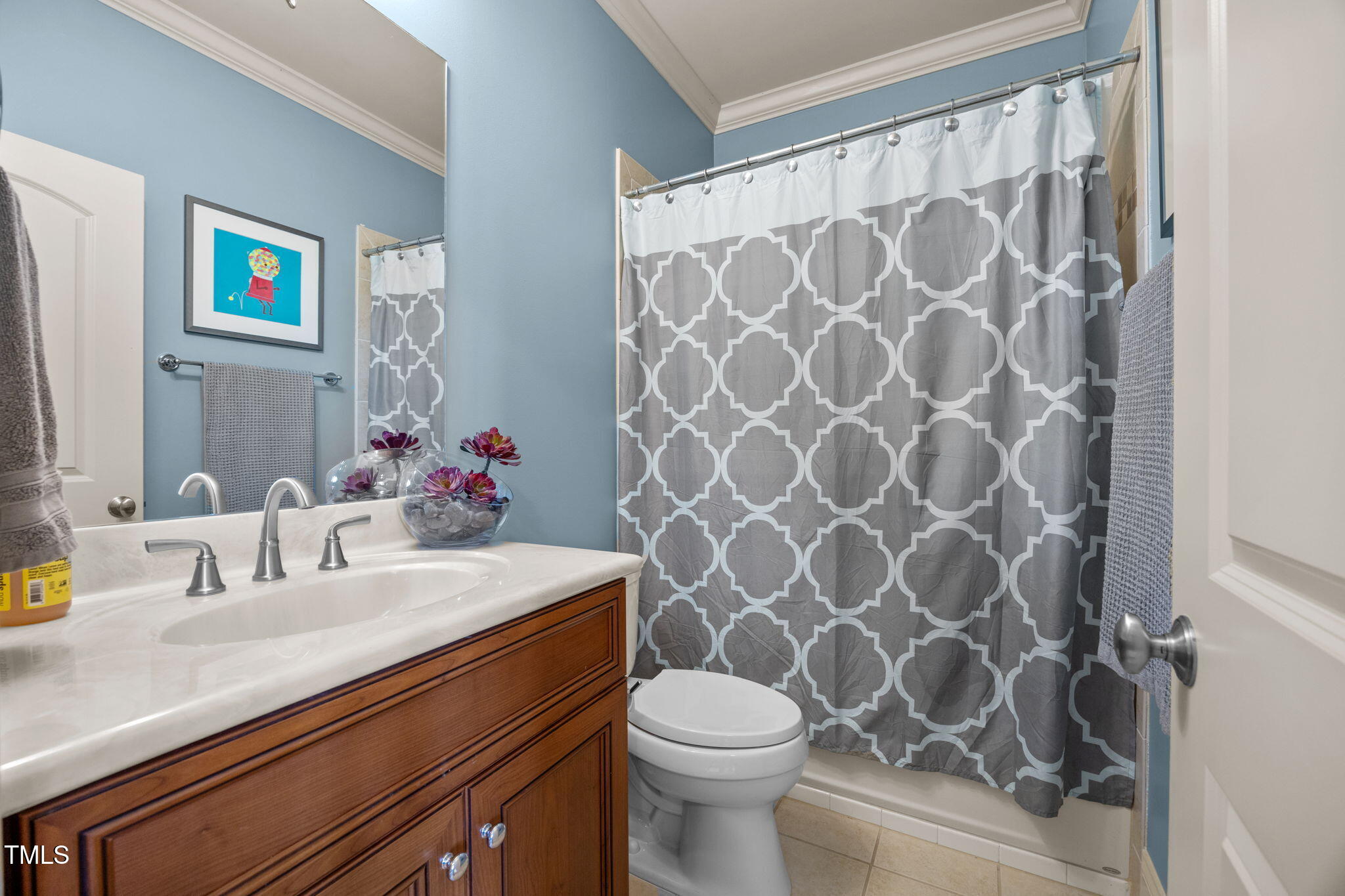 2409 Loring Court Raleigh, NC 27613 - Photo 31 of 60 a bathroom with a sink toilet and a mirror