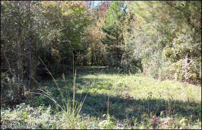 4056 Gibson Road McComb, MS 39648 - Photo 11 of 21 Screenshot 2026-05-26 134035