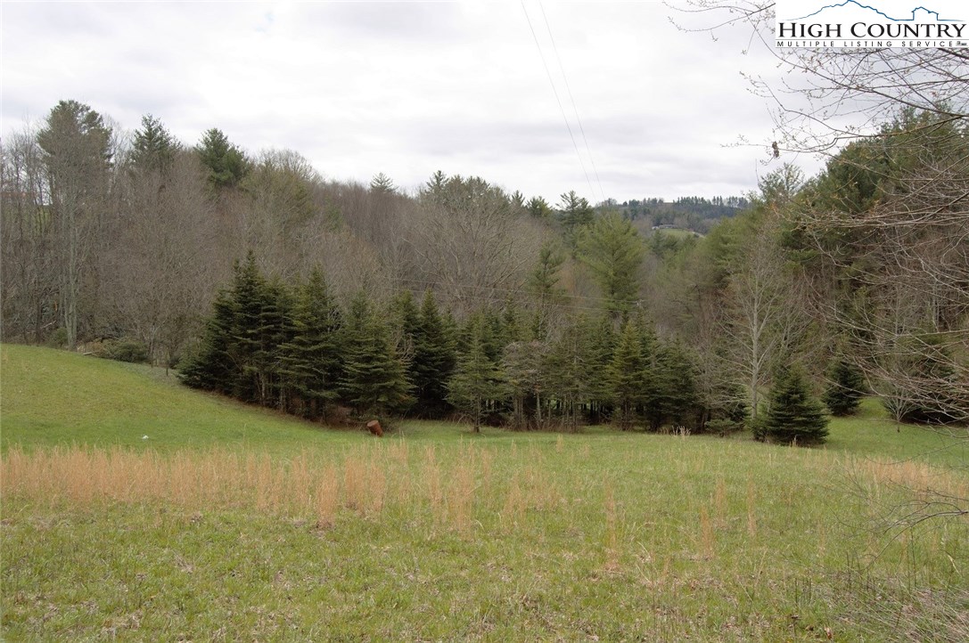 Ridge Road Boone, NC 28607 - Photo 1 of 12 Gallery Image 1